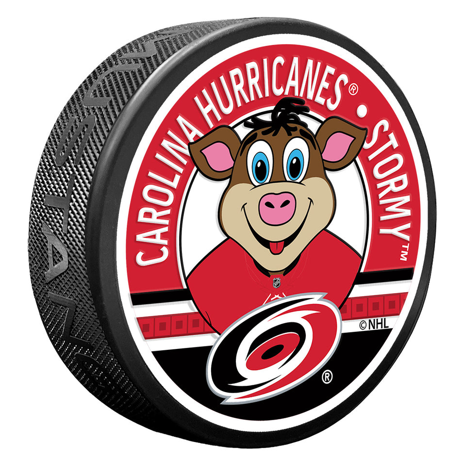Carolina Hurricanes Puck - Textured Stormy Mascot