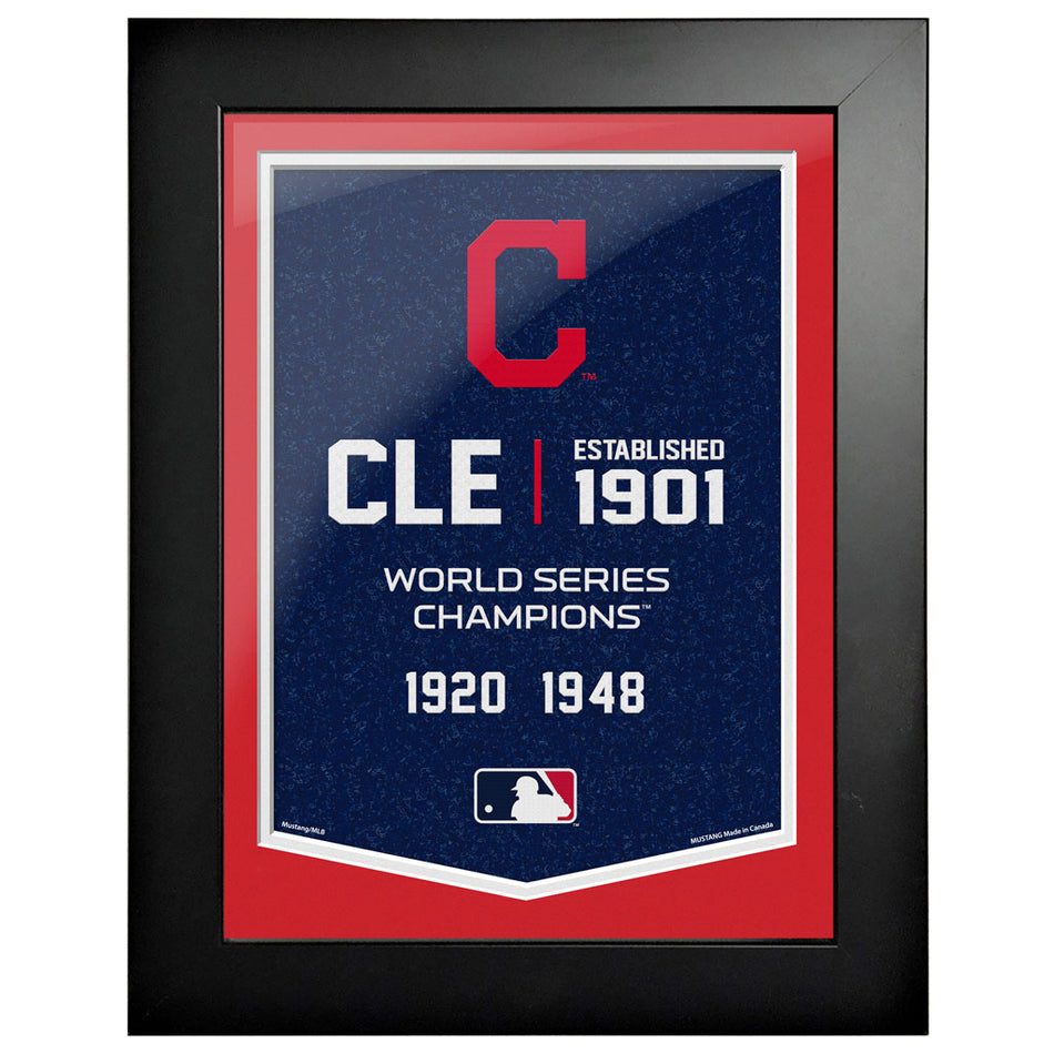 sports_decor, framed_banner