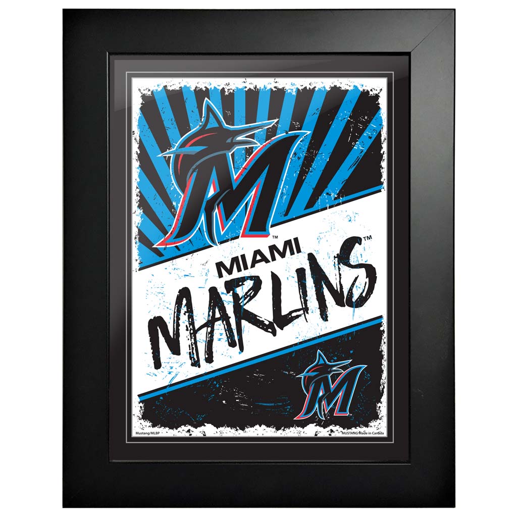 sports_decor, framed_banner